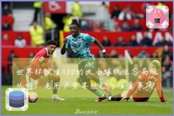世界杯投注app的大小球玩法容易踩坑吗？老用户分享经验与注意事项
